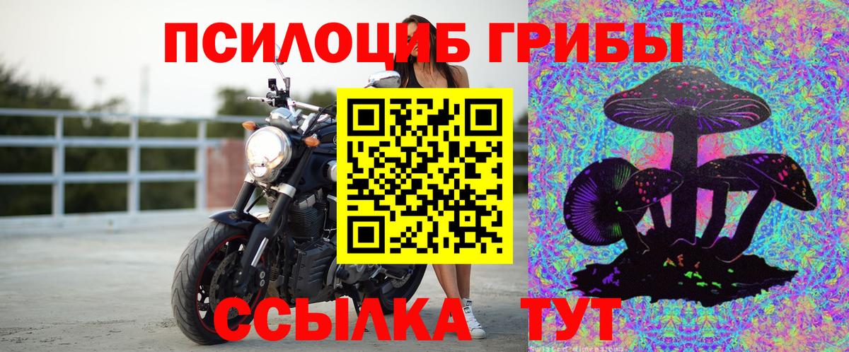 Псилоцибиновые грибы прущие грибы  Вход с VPN  Москва  Галлюциногенные грибы Psilocybe 